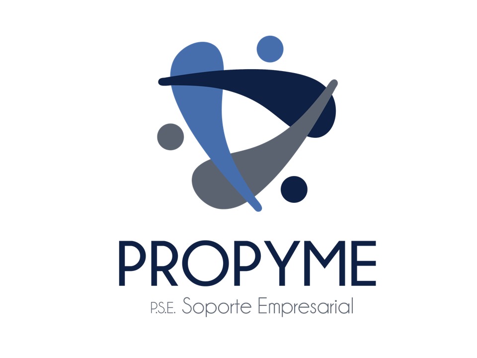 PROPYME Soporte Empresarial